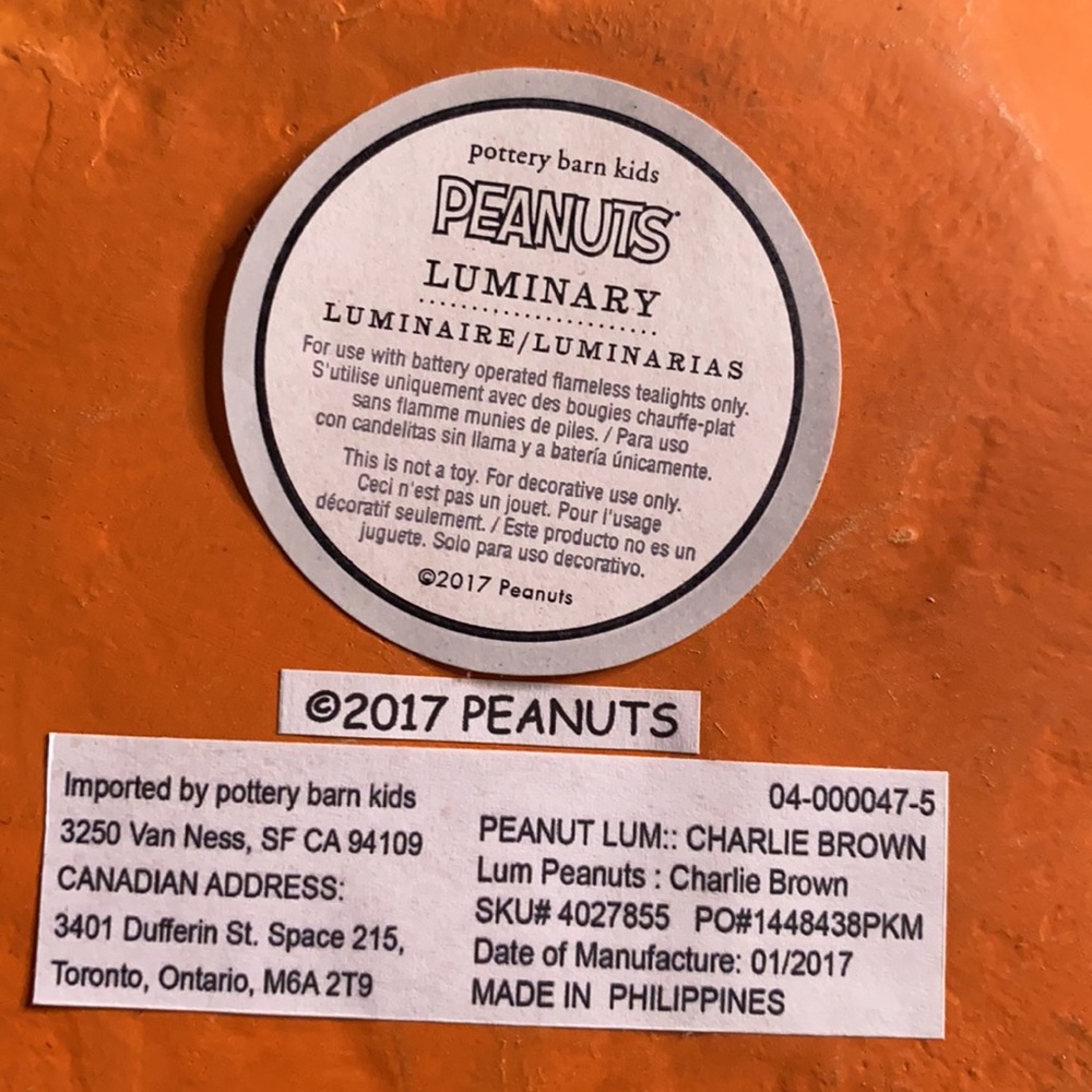 Pottery Barn Kids Charlie Brown Peanuts Pumpkin Luminary Rare 2017 Collection🎃 - Picture 14 of 17